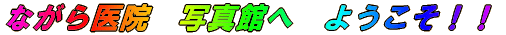 �Ȃ����@�@�ʐ^�قց@�悤�����I�I